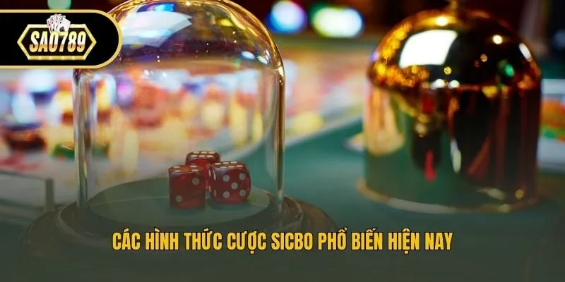 Các hình thức cược Sicbo phổ biến hiện nay