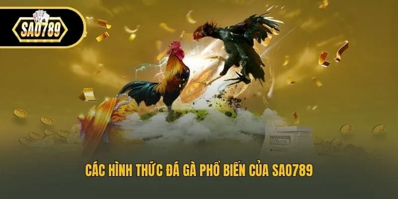Các hình thức đá gà phổ biến của Sao789