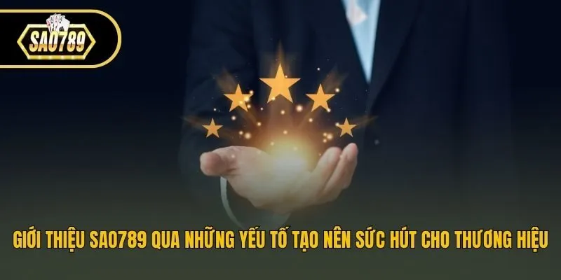 Giới thiệu Sao789 qua những yếu tố tạo nên sức hút cho thương hiệu