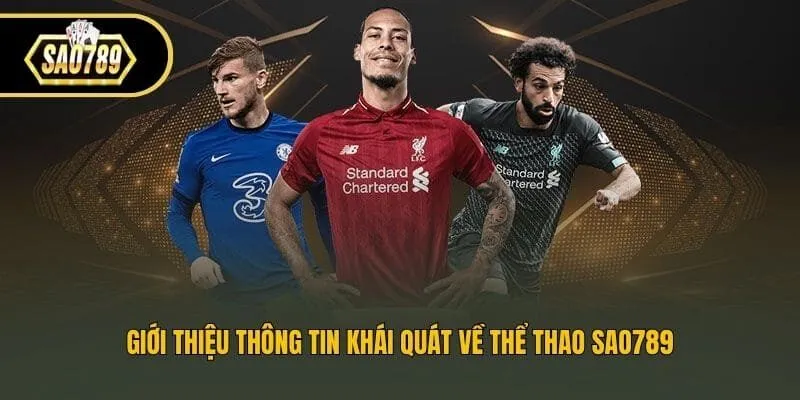 Giới thiệu thông tin khái quát về thể thao Sao789