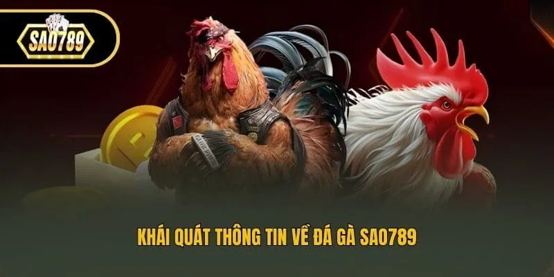 Khái quát thông tin về đá gà Sao789