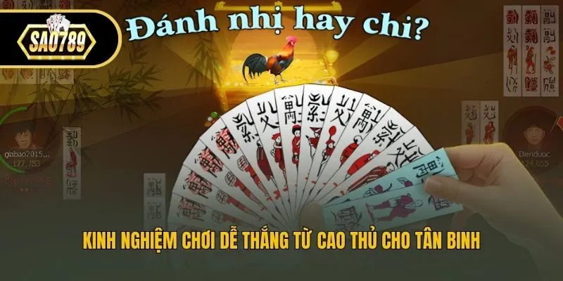 Kinh nghiệm chơi dễ thắng từ cao thủ cho tân binh