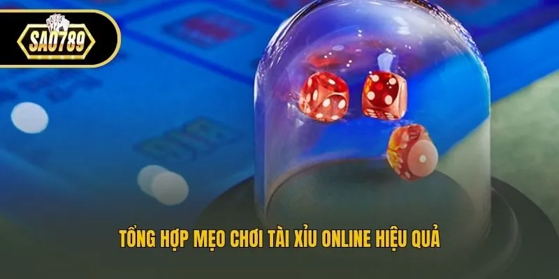 Tổng hợp mẹo chơi tài xỉu online hiệu quả